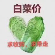 @@@26.8万，樱花时尚，3楼毛坯