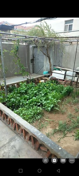 带院子一楼出租